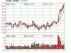 萬豐奧威陳愛蓮：突破汽車業瓶頸有兩大途徑