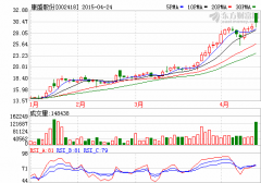 中植力挺康盛股份“發(fā)兵”新能源車