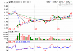 猛獅科技擬2億元參設新能源并購基金