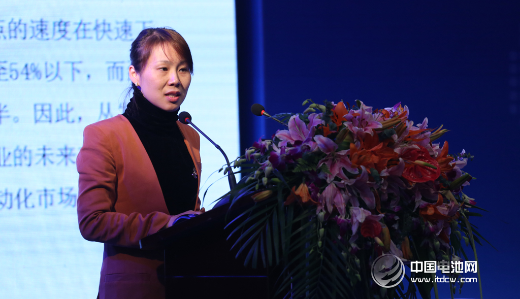 東莞杉杉黃繼宏:5V級電解液技術開發進展與市場分析