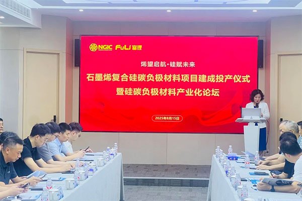 年產(chǎn)300噸！這一石墨烯復(fù)合硅碳負(fù)極生產(chǎn)線正式投產(chǎn)