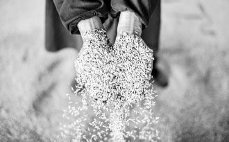 加快制定土壤污染防治法