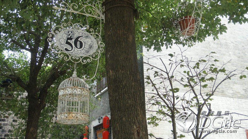 DSC03942.JPG DSC03942.JPG