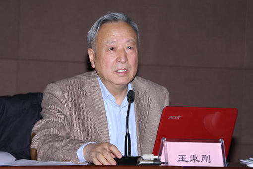 王秉剛：2014年前兩月新能源汽車推廣不及3000輛