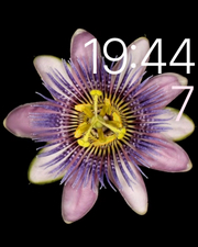 蘋果applewatch評測蘋果手表評測體驗