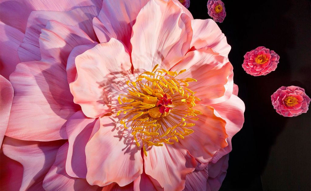 美到爆炸!蘋果Apple Watch巨幅玻璃廣告來了 美到爆炸!蘋果Apple Watch巨幅玻璃廣告來了