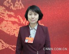 楊艷：進一步加大對鎳鈷資源綜合利用的支持力度