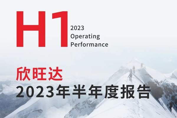 欣旺達(dá)上半年動力電池營收51.86億 儲能電池營收翻倍增長