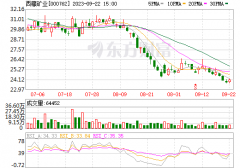 第七次掛牌！底價2.74億！西藏礦業再打折甩賣鋰業公司