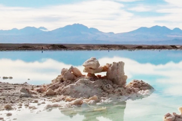 儲能定價較低 一季度美國雅保凈銷售額降至14億美元