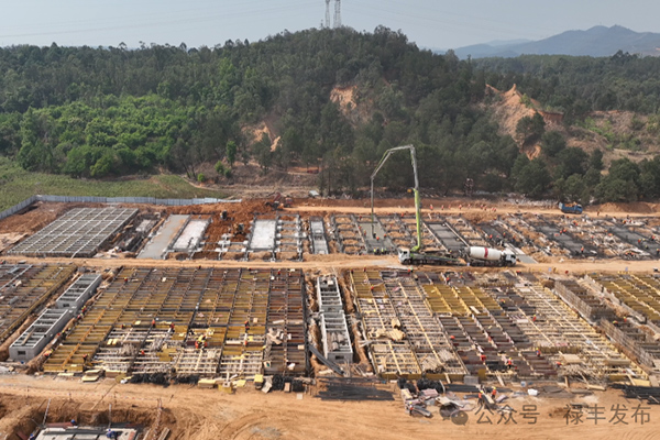 圖片來源：祿豐發布