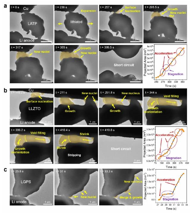 圖2. 鋰金屬析出—電解質短路動力學的原位電鏡觀察