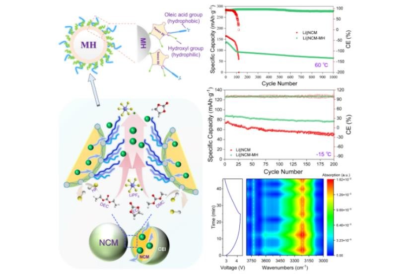 提升寬溫域性能！中科院鎂基鋰電池研究獲新進展