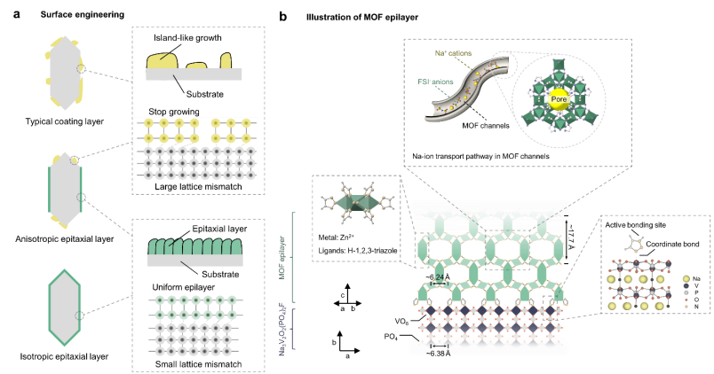 圖 2|表面工程與Na?傳輸機(jī)制示意圖 圖 2|表面工程與Na?傳輸機(jī)制示意圖