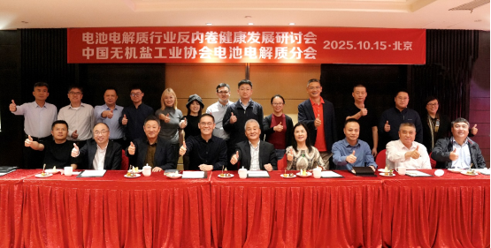 破局“內卷”！電池電解質行業健康發展研討會發布共同倡議