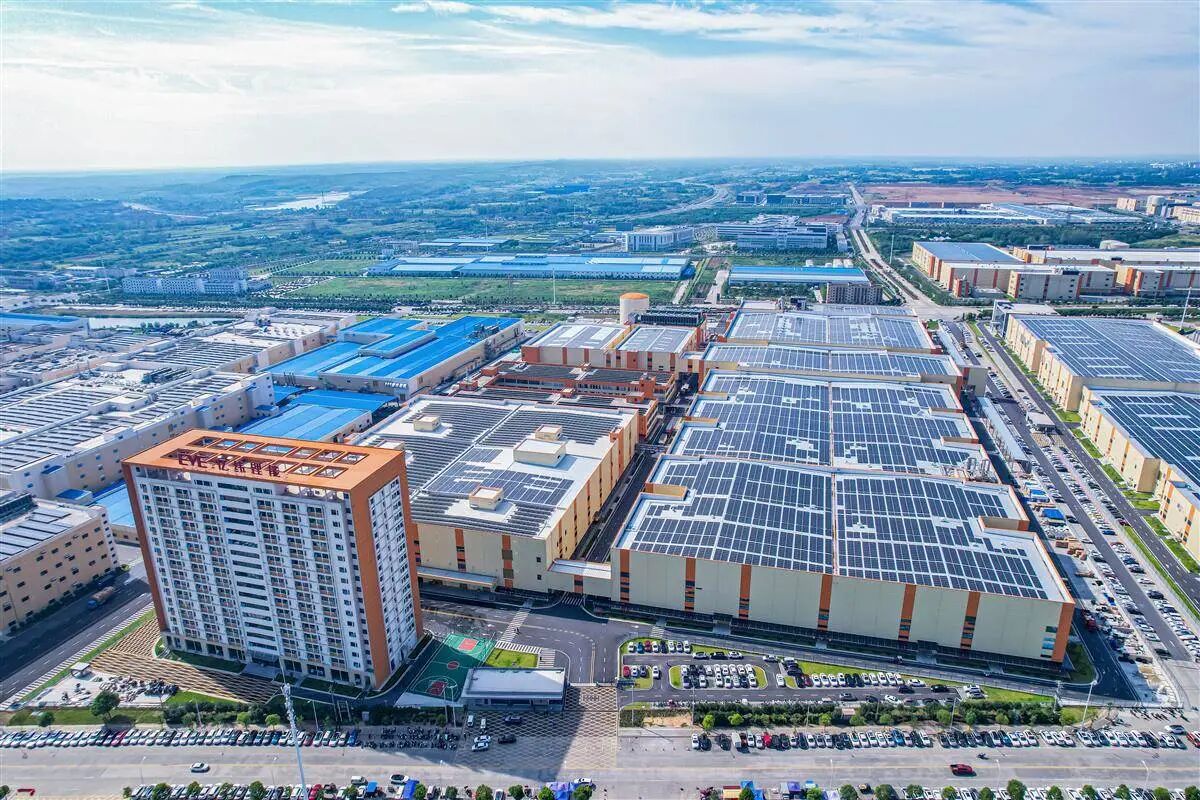 圖片來源：掇刀區融媒體中心