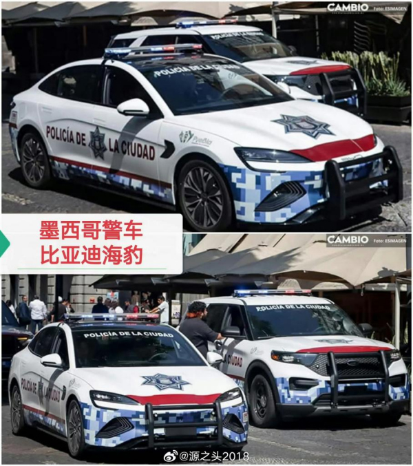 比亞迪,電動汽車,新能源汽車