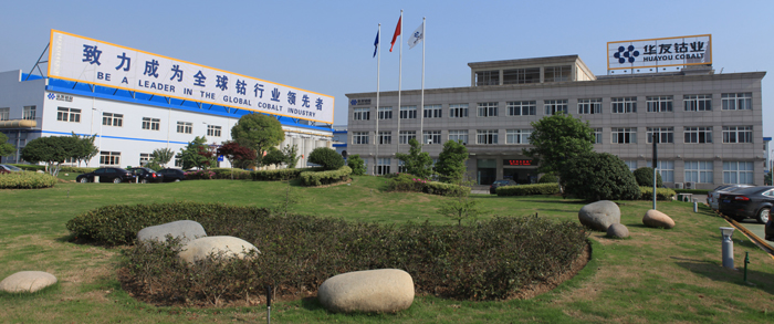 浙江華友鈷業股份有限公司