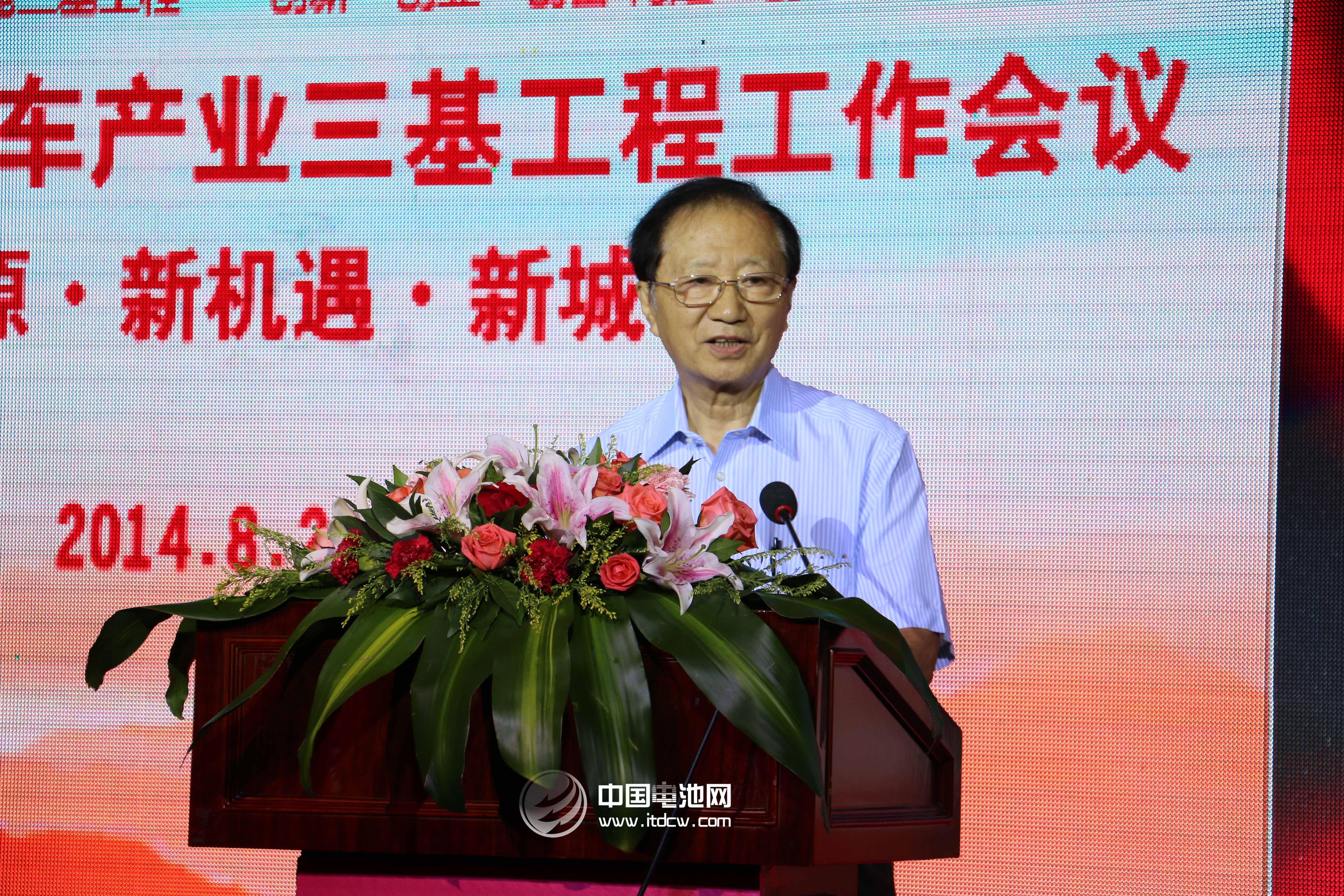 全國政協(xié)經濟委員會副主任陳清泰