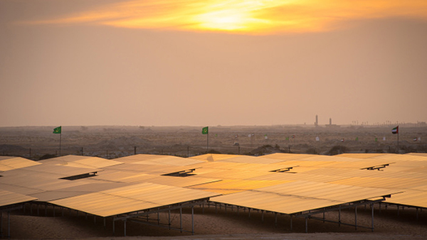 大慶企業轉戰光伏  新能源市場“搶灘登陸