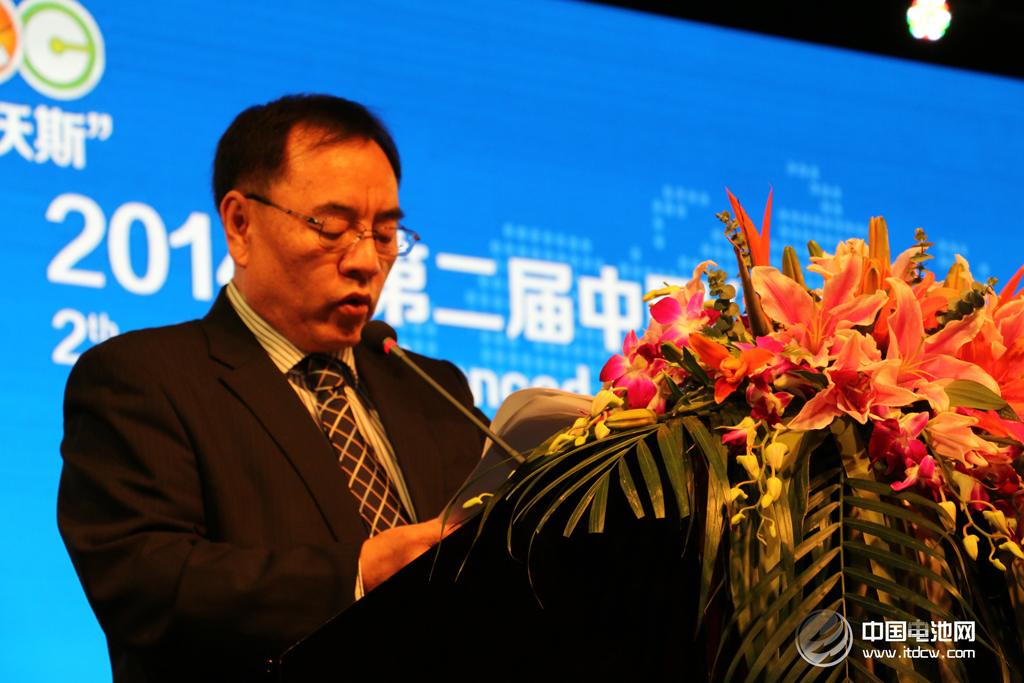 第二屆鋰電“達沃斯”論壇學(xué)術(shù)委員會主席、北京大學(xué)教授其魯