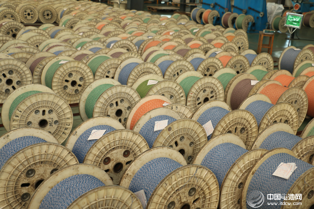 中國(guó)電池網(wǎng)率團(tuán)參觀考察安徽天康集團(tuán)鋰電新能源