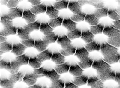 拉伸二硫化鉬晶體造出能隙可變半導(dǎo)體 可用研發(fā)太陽(yáng)能電池