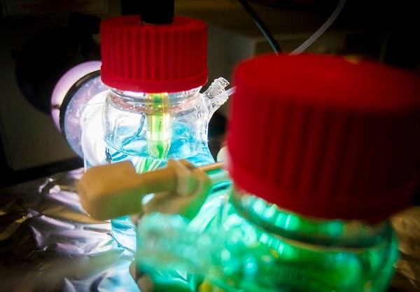 德國研制新光電化學電池 可長期儲存光電子能量 德國研制新光電化學電池 可長期儲存光電子能量