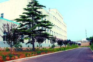 山東稀土產(chǎn)業(yè)緣何后來居上？?jī)?chǔ)量雖少 附加值高