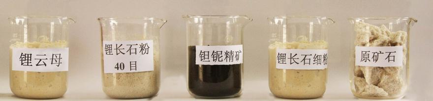 江特電機碳酸鋰業(yè)務毛利率由負轉正