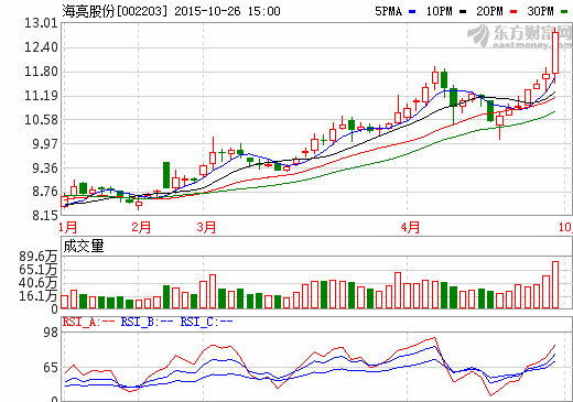 海亮股份 海亮股份