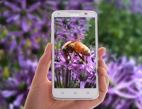 華為:2016下半年或商用石墨烯電池技術 華為:2016下半年或商用石墨烯電池技術