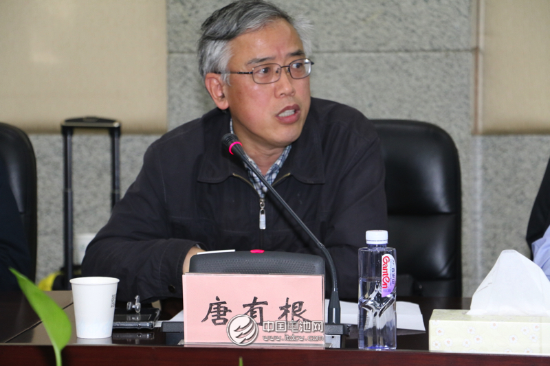 中國儲能與動力電池及其材料專業(yè)委員會秘書長、中南大學教授唐有根　　