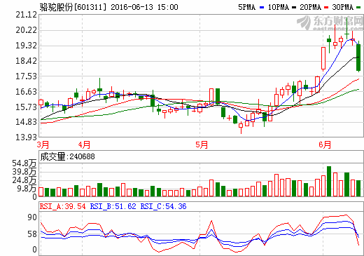 駱駝股份 駱駝股份