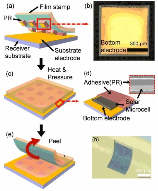 韓國研制出世界最薄太陽能電池 厚度僅為頭發(fā)直徑1%