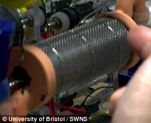 英發明“尿液電池” 半升尿液可為智能機充電3小時