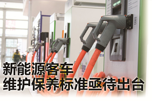 數量多、規模大 數量多、規模大