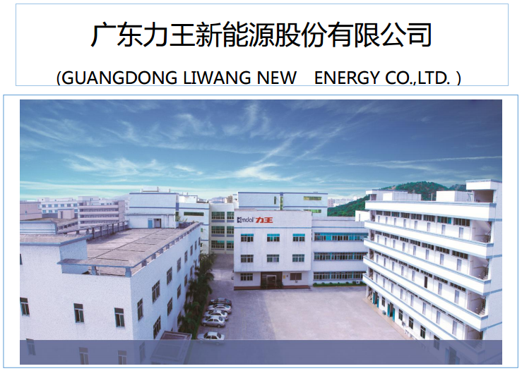 力王股份 力王股份