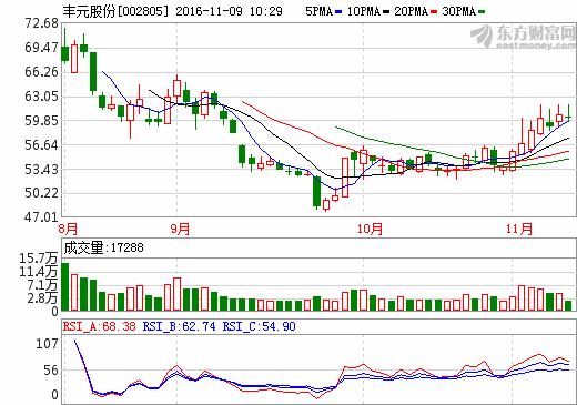 豐元股份 豐元股份