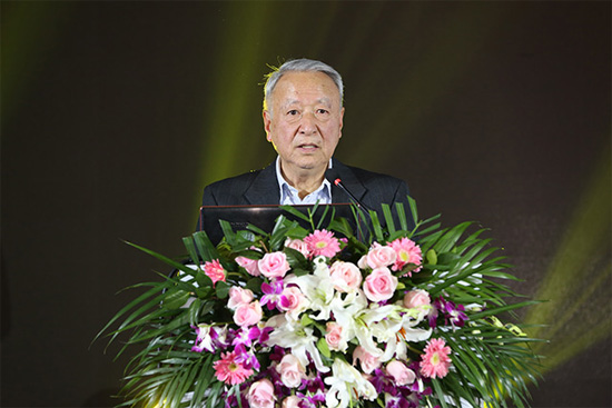 王秉剛：再生能源調(diào)整結(jié)構(gòu) 電動(dòng)汽車(chē)更環(huán)保