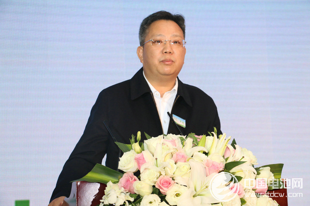 中國沃特瑪新能源汽車產(chǎn)業(yè)創(chuàng)新聯(lián)盟理事長李瑤