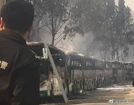 北京蟹島度假村停車場(chǎng)突發(fā)大火 