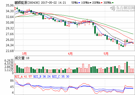 鵬輝能源 鵬輝能源
