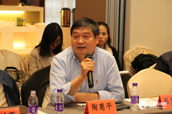 江蘇新泰材料科技有限公司總經理陶惠平