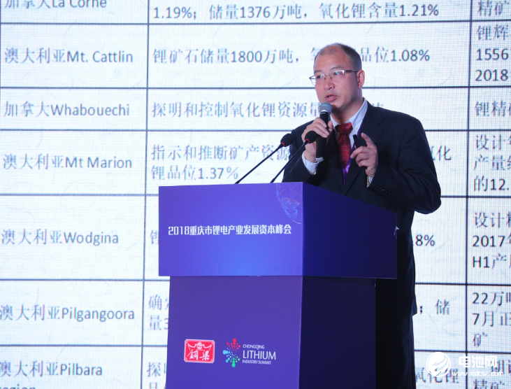 中國有色金屬工業協會鋰業分會秘書長張江峰發言