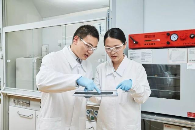 巴斯夫上海創新園研發高性能電池材料