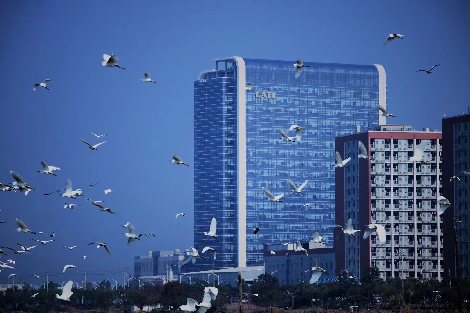 寧德時(shí)代2018年?duì)I收296.11億元 動(dòng)力電池裝機(jī)量達(dá)23.5GWh