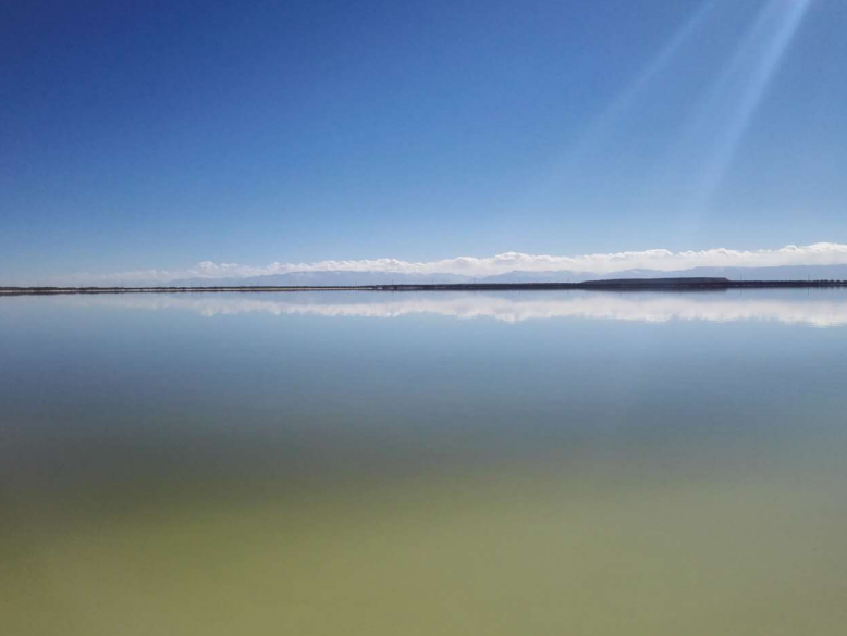 藏格鋰業(yè) 藏格鋰業(yè)