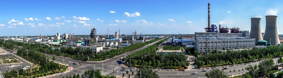 濱化集團股份有限公司