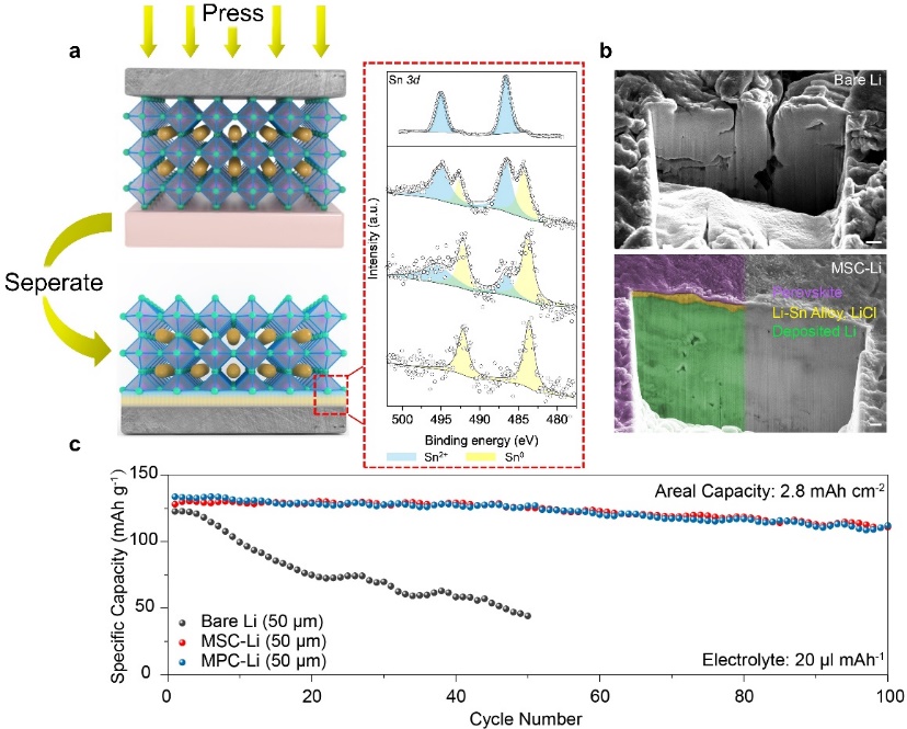 中國(guó)科大等在金屬鹵化物鈣鈦礦導(dǎo)鋰層穩(wěn)定鋰電池方面取得進(jìn)展
